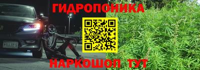 гашик Краснодар