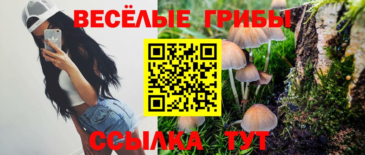 Галлюциногенные грибы Magic Shrooms  Вход с VPN  Ишимбай 