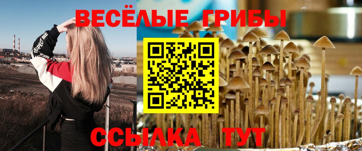Галлюциногенные грибы Magic Shrooms Ишимбай